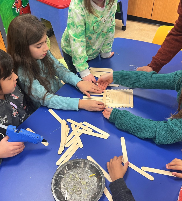 STEM Activity